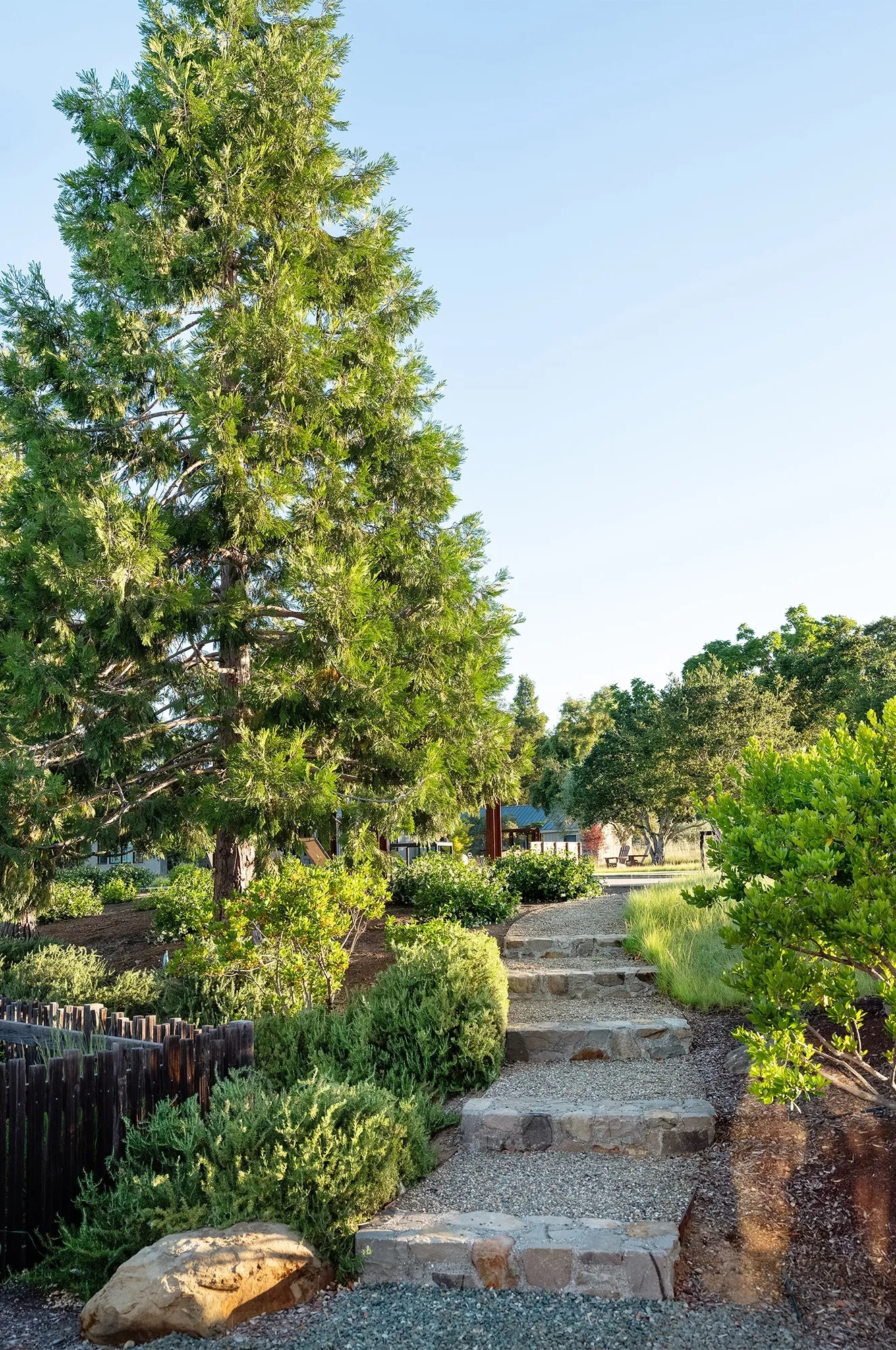 美国 Two Belles Farm 农场景观丨美国加利福尼亚-8