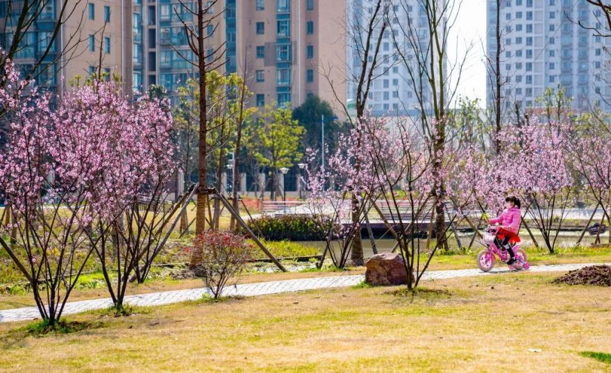 上海松江方松体育公园-66