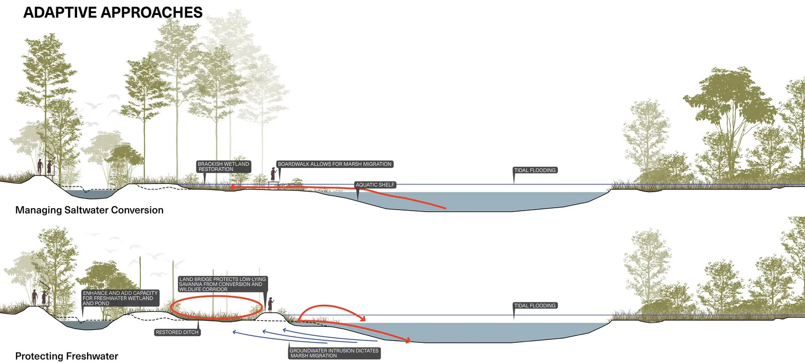 试验场:从高尔夫球场到屏障岛生态系统丨美国丨Design Workshop,Inc.-33