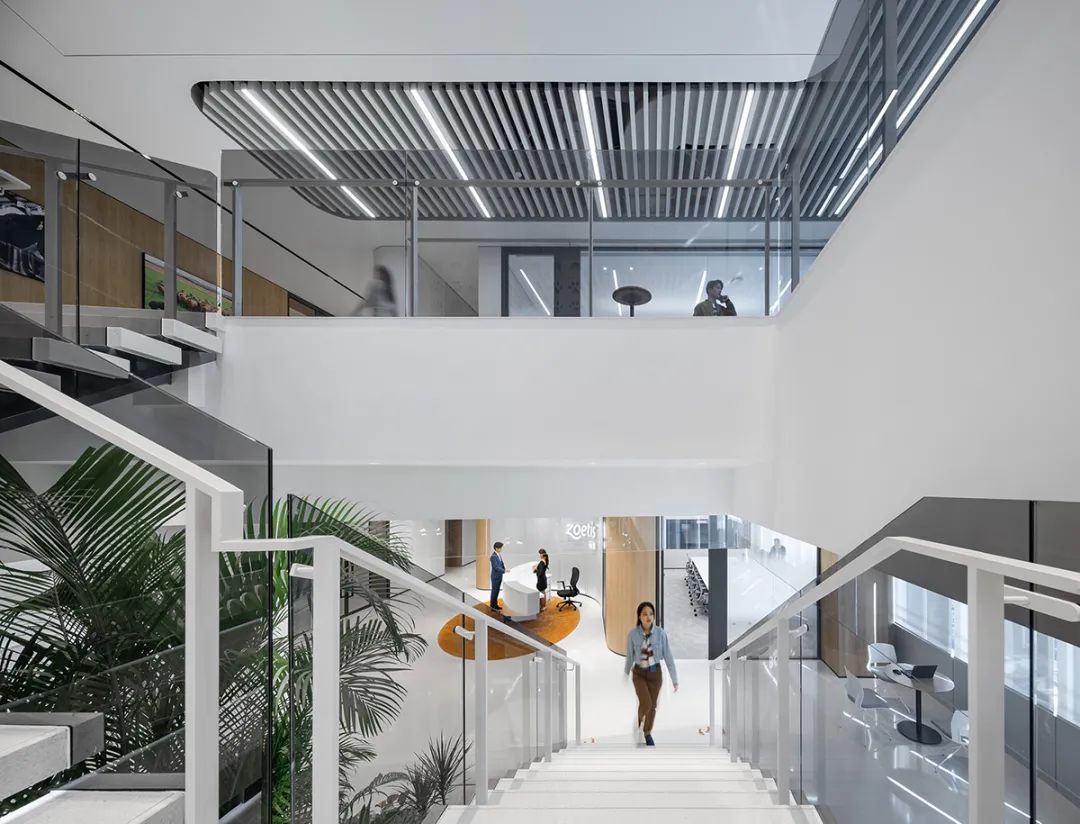 上海硕腾总部办公空间设计丨中国上海丨iDA Workplace-24