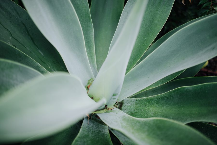 赫斯基森项目  GNK景观设计公司（这里GNK为特定名称，若无更多背景难以更精准翻译，推测一般为专业领域的公司名称，Landscapes可理解为景观设计公司等相关含义） -10