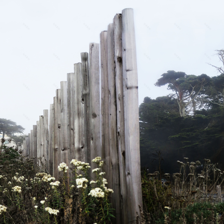 地极看丨中国金山丨Surfacedesign,Inc-0