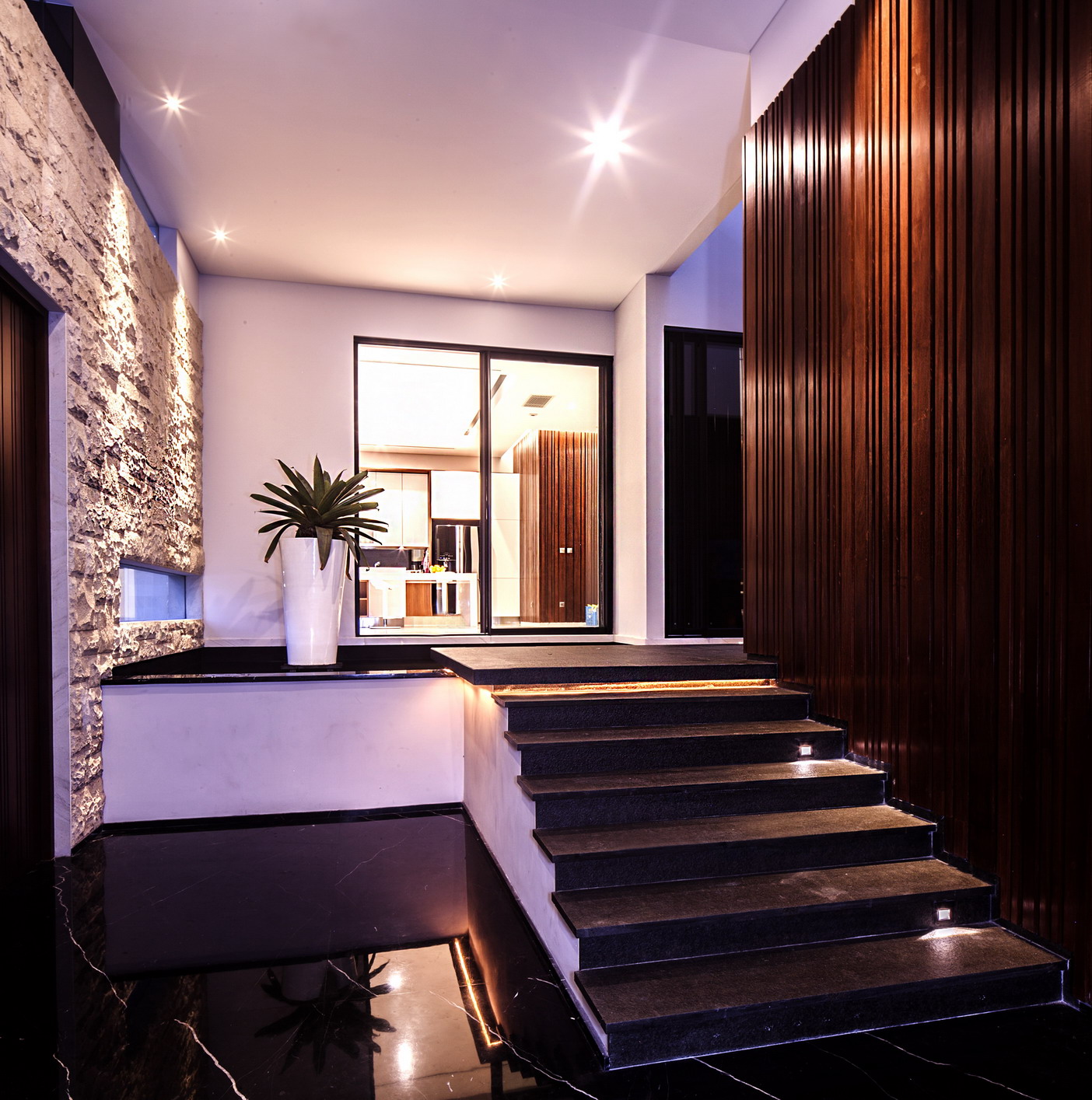 the skylight house-24