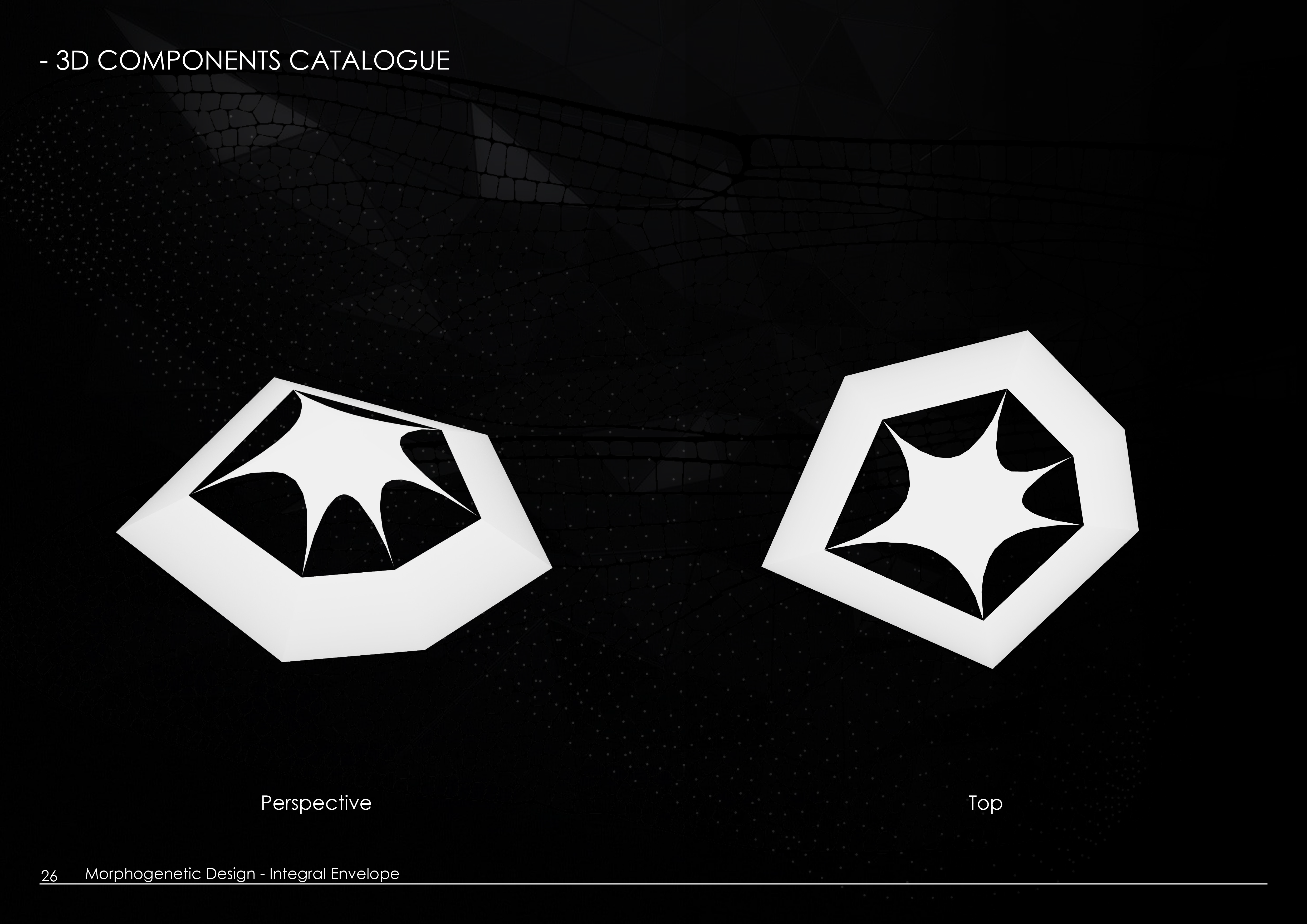 Morphogenetic Design - Integral Envelope July 2020-15