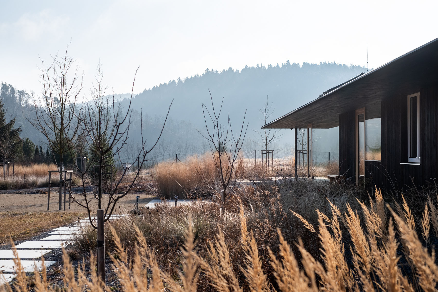 卡米克水库旁家庭住宅花园设计丨捷克-76