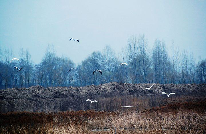  AAD长厦安基丨西安万科·雁鸣湖 营销中心 建筑设计 丨中国西安-8