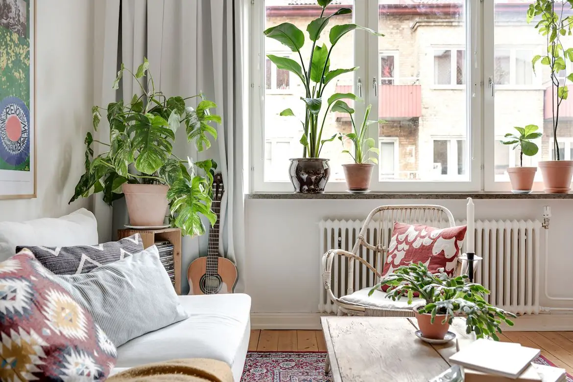 城市中的“厨神”小窝-4