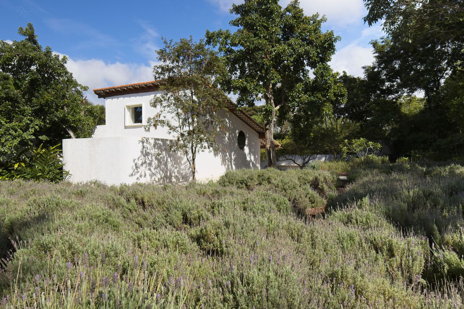 巴西利亚的“慢生活”住宅丨巴西巴西利亚丨暂无-16