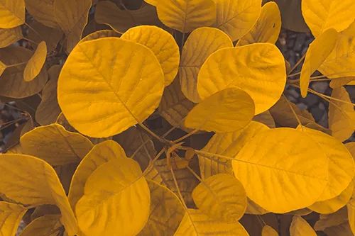 色彩颠覆传统,温馨轻松的家居空间设计-12