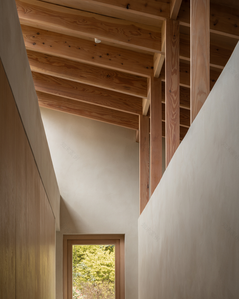 Butterfly House · 多功能代际居住空间丨Oliver Leech Architects-11