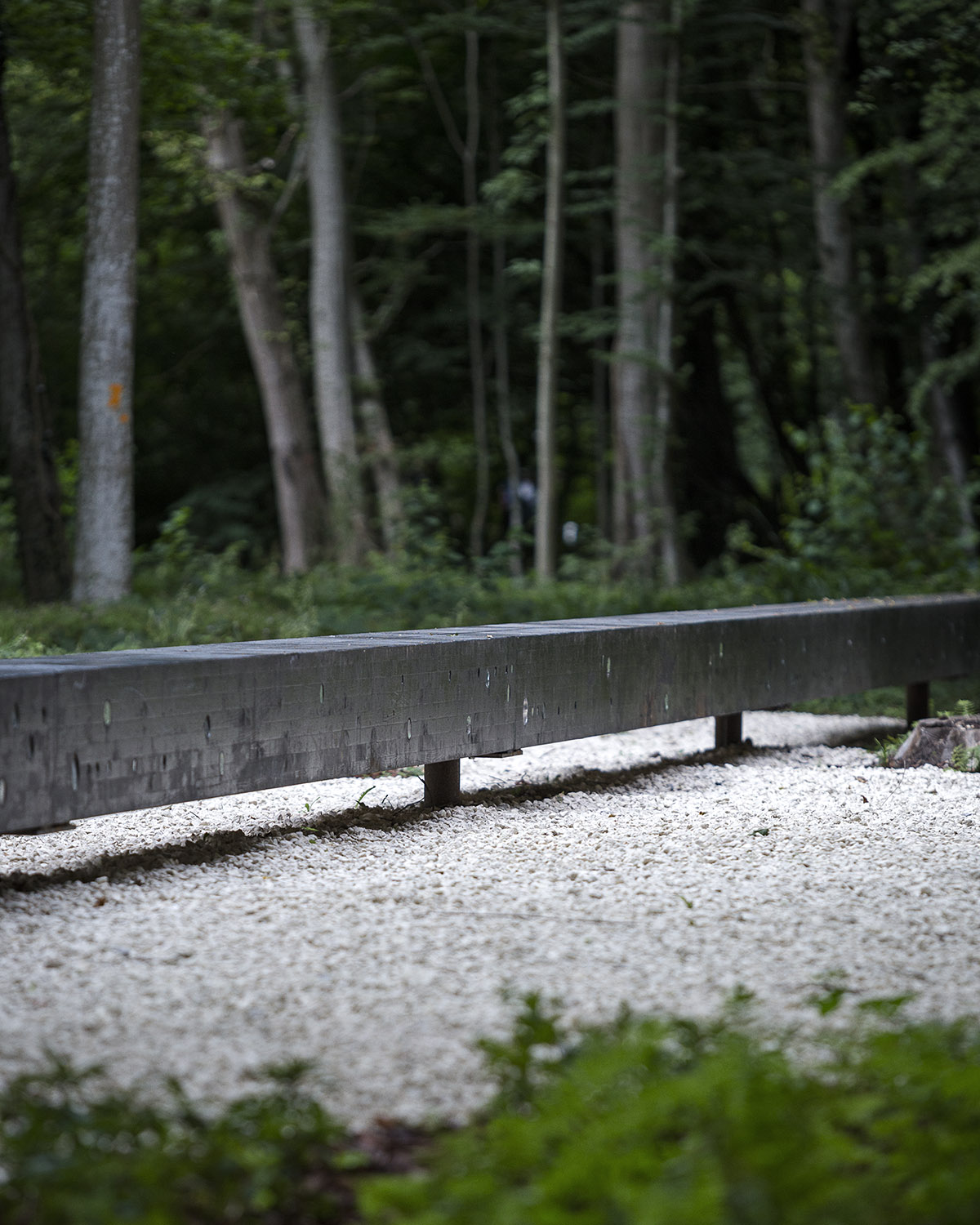 第三列车花园的镜像长凳丨法国-30