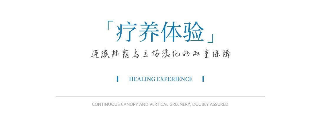 中山大学附属第七医院(深圳)二期项目景观绿化工程丨中国深圳-8