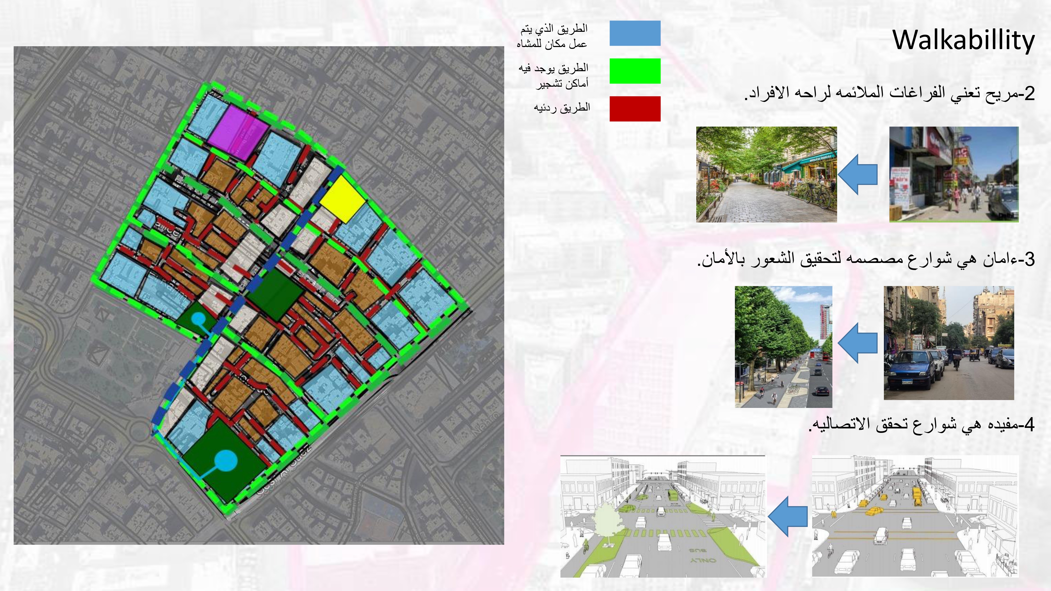 مشروع تحقيق مبادئ التنمية المستدامة بالزيتون القاهرة-21