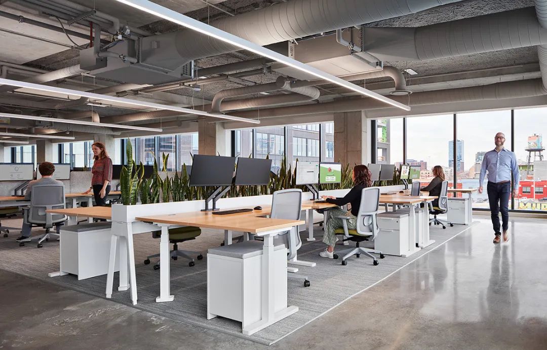 Hazel 科技芝加哥总部丨美国芝加哥丨Perkins&Will-17