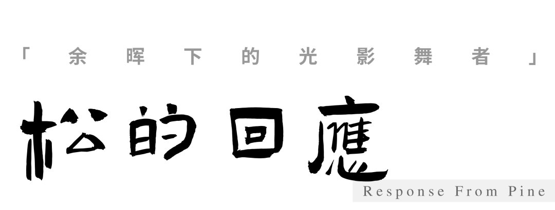 松林浪屿，海岸逐光丨青岛 · 云上观海-98