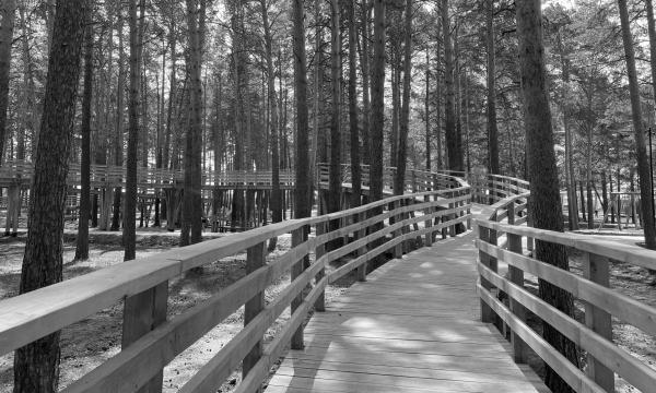 城市花园景观设计·阿西诺市中心“团结城市”项目丨俄罗斯托木斯克丨托木斯克州城市环境发展中心-44