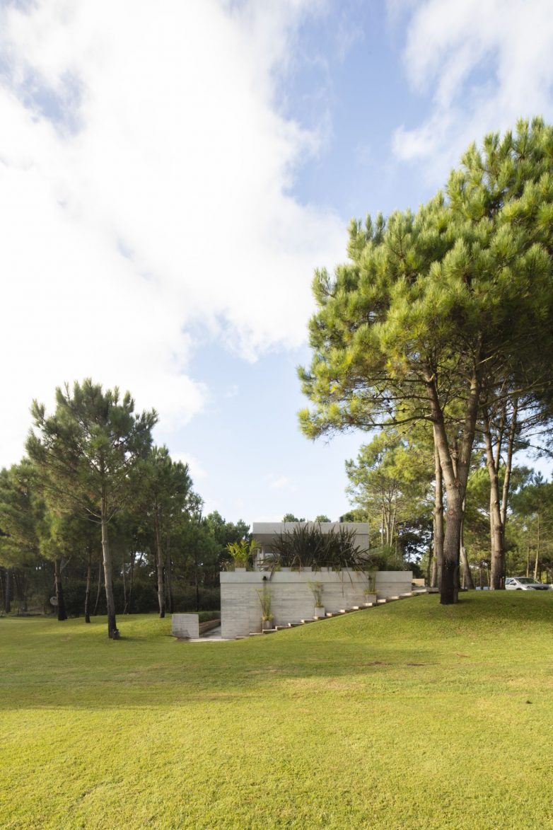 House With Ten Pines（库察萨德塞特博罗瓦）丨阿根廷丨Estudio Frolik-26