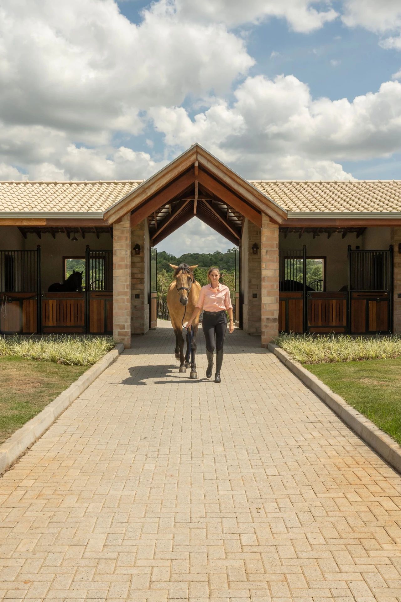 鸡舍丨土耳其埃尔津詹丨SO? Architecture and Ideas-37