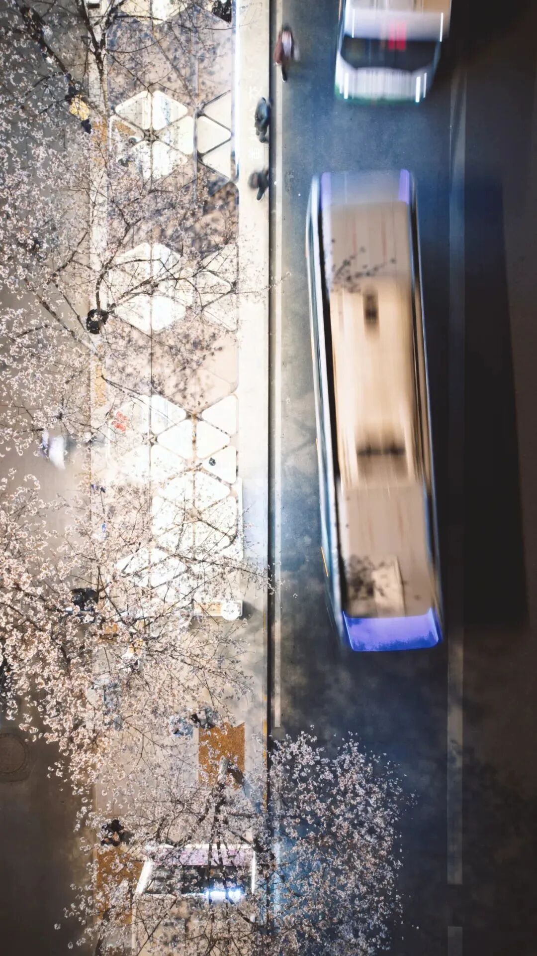 深总院微空间，雕琢樱花公交站之美-19