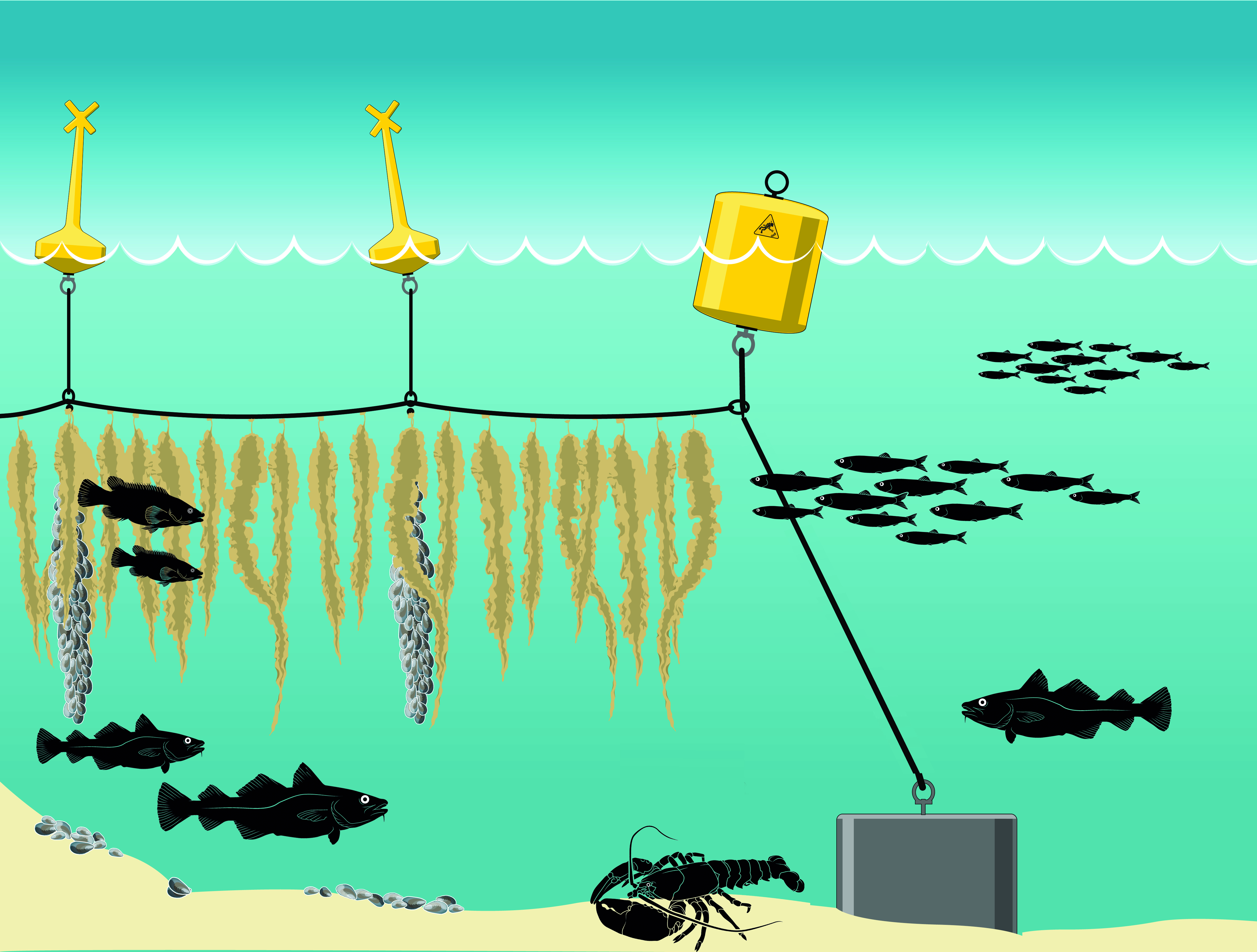 挪威首个海洋利用渔场-34