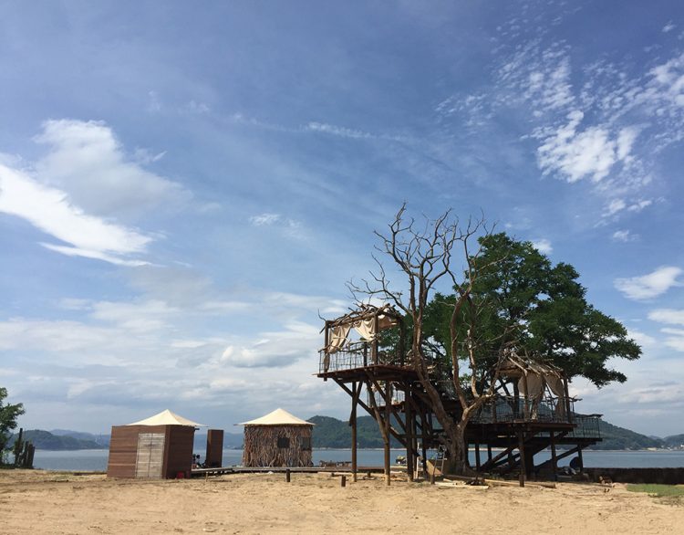 Tree terrace on uninhabited island-4