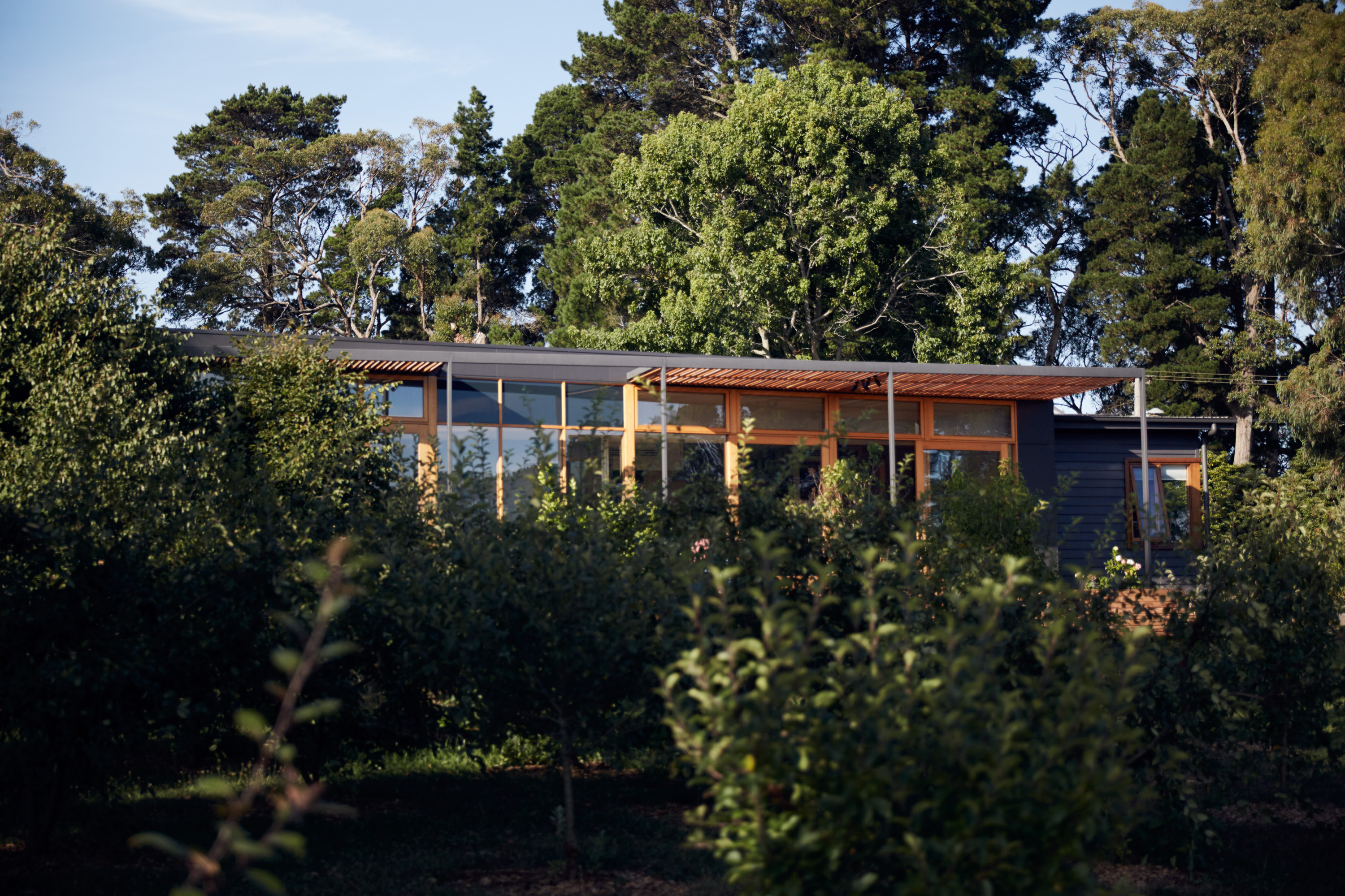 乡村木屋的视野延伸与客房增建-18