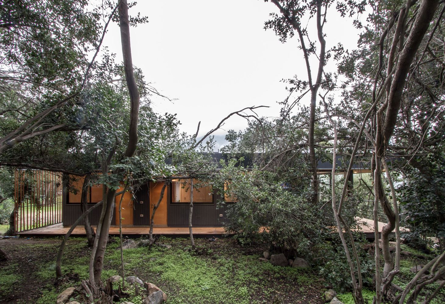 智利奥尔穆埃森林中的悬浮家庭住宅-69