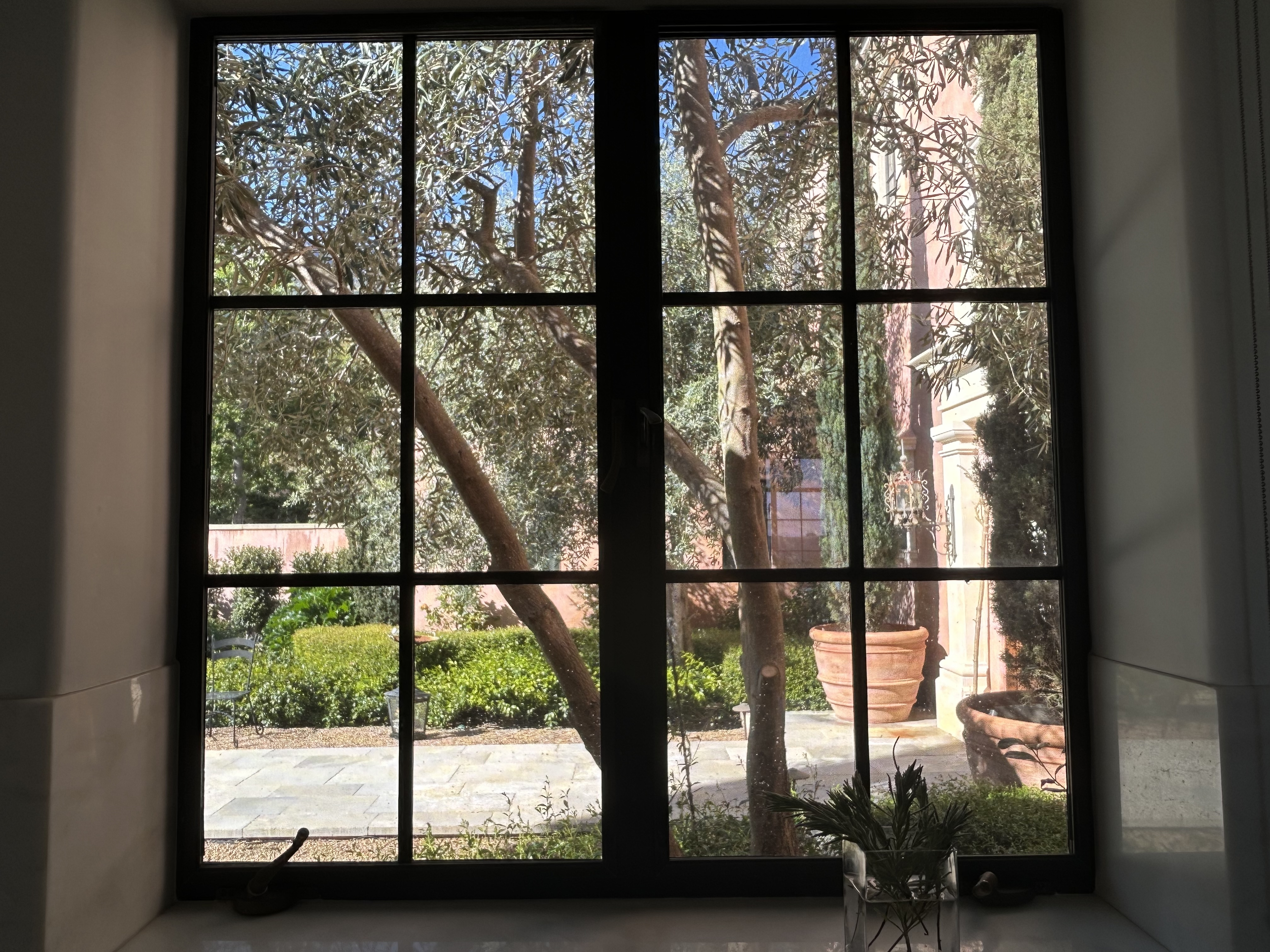 橄榄树修剪以改善厨房采光及树干线条-9