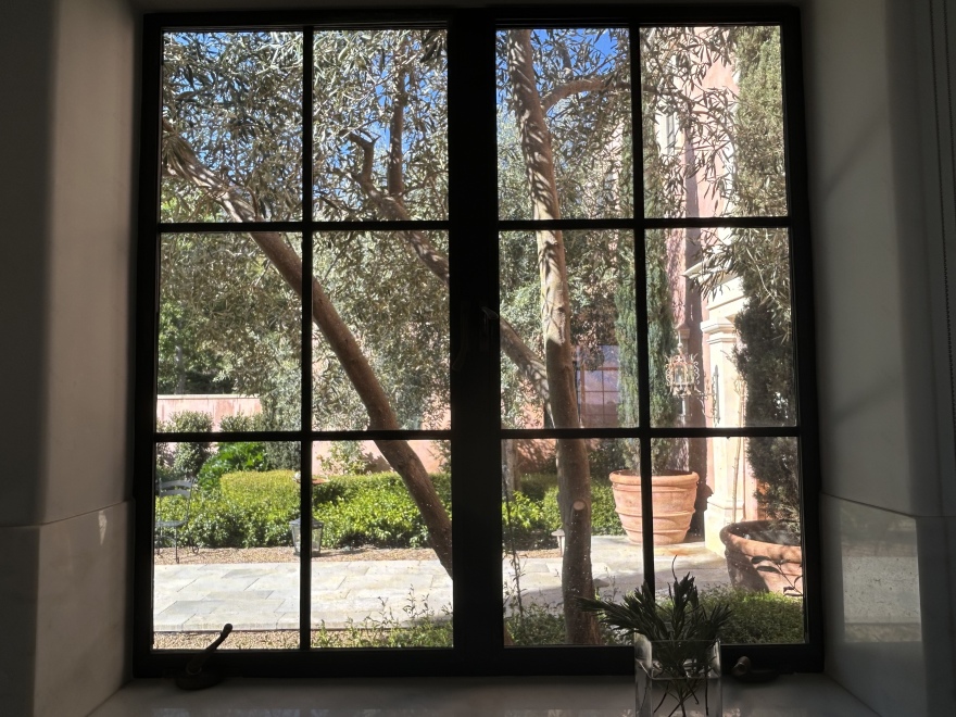 橄榄树修剪以改善厨房采光及树干线条-9