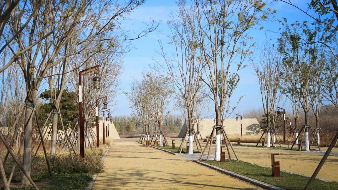 通州路县故城遗址公园 | 穿越千年的汉代生活重现-60