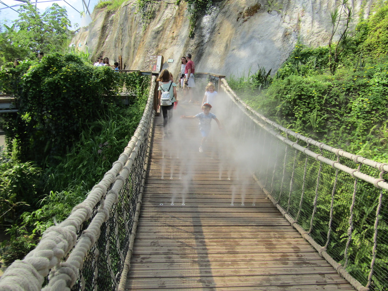 创意户外空间 | 2016 年建成的伊甸园项目-18