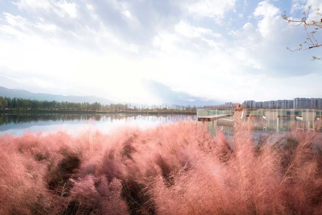 悦动的海平线 · 邛海17度星月湖公园【DAOYUAN·29期】-79