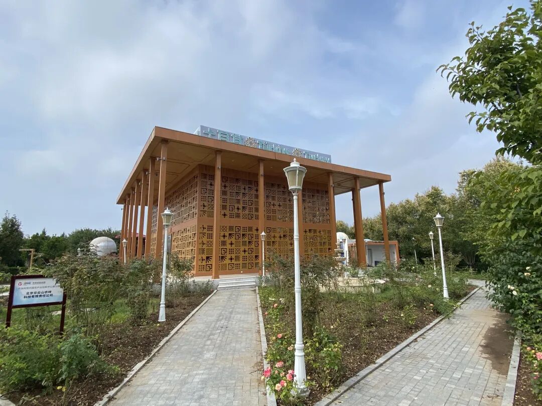 在地的异域onsiteexoticvol.3-32