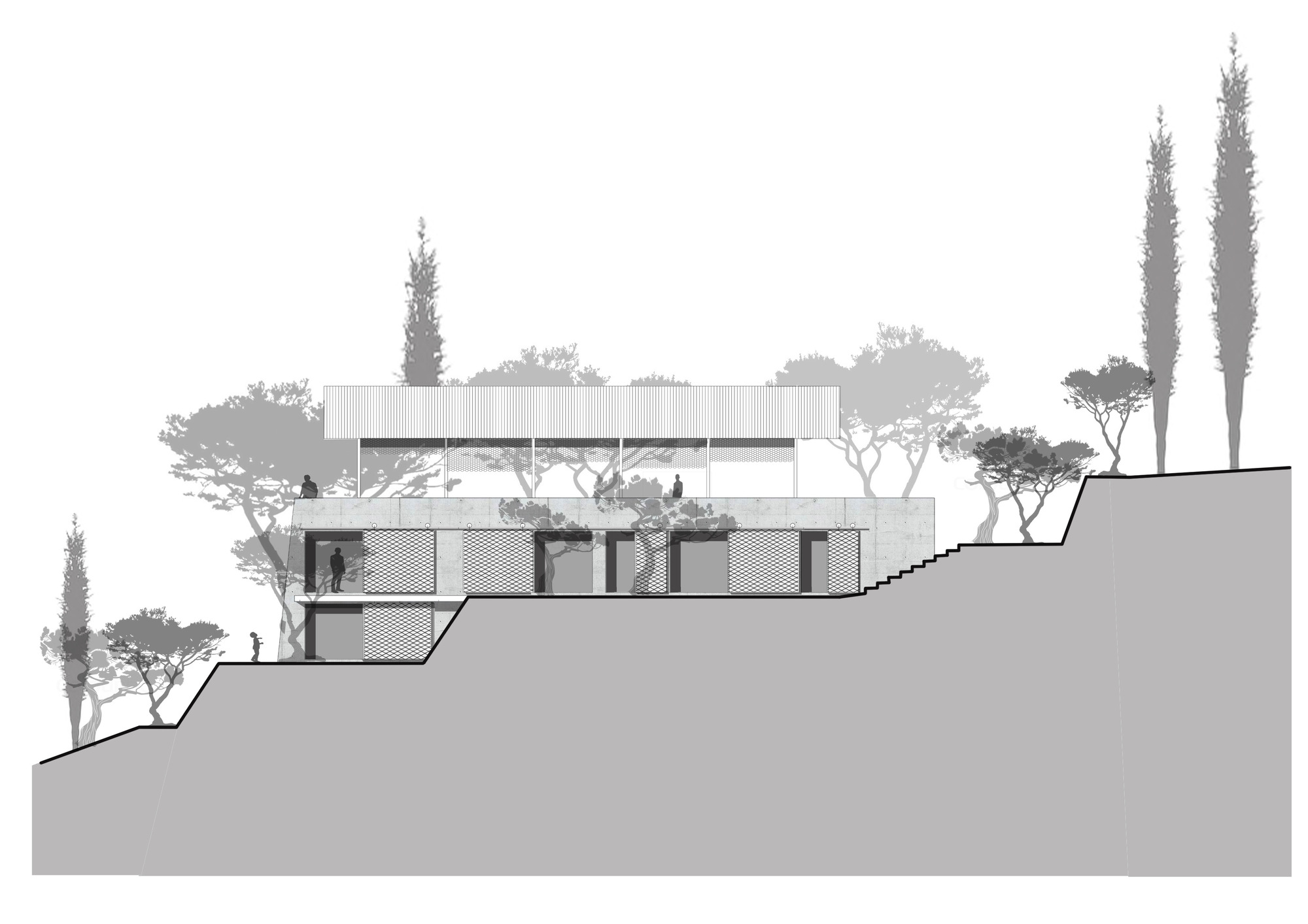 橄榄林中的房子丨希腊丨Invisible Studio-45