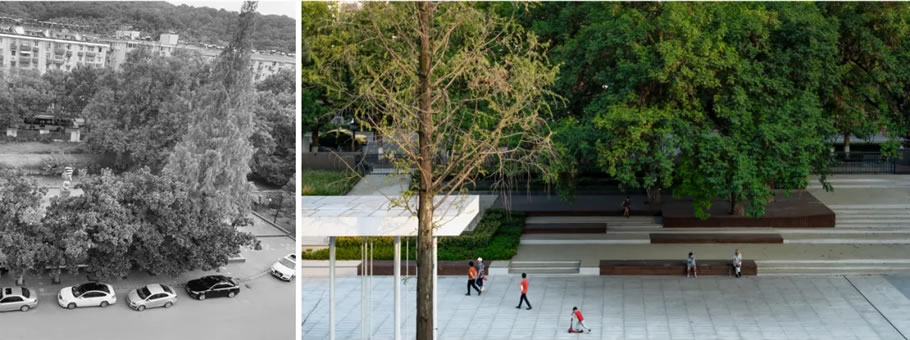 金地·梧桐里(南师大玄武科技园)丨中国南京丨LAURENT罗朗景观-21