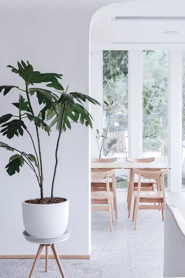 别止·南山 | 阳光简约的复合空间设计-42