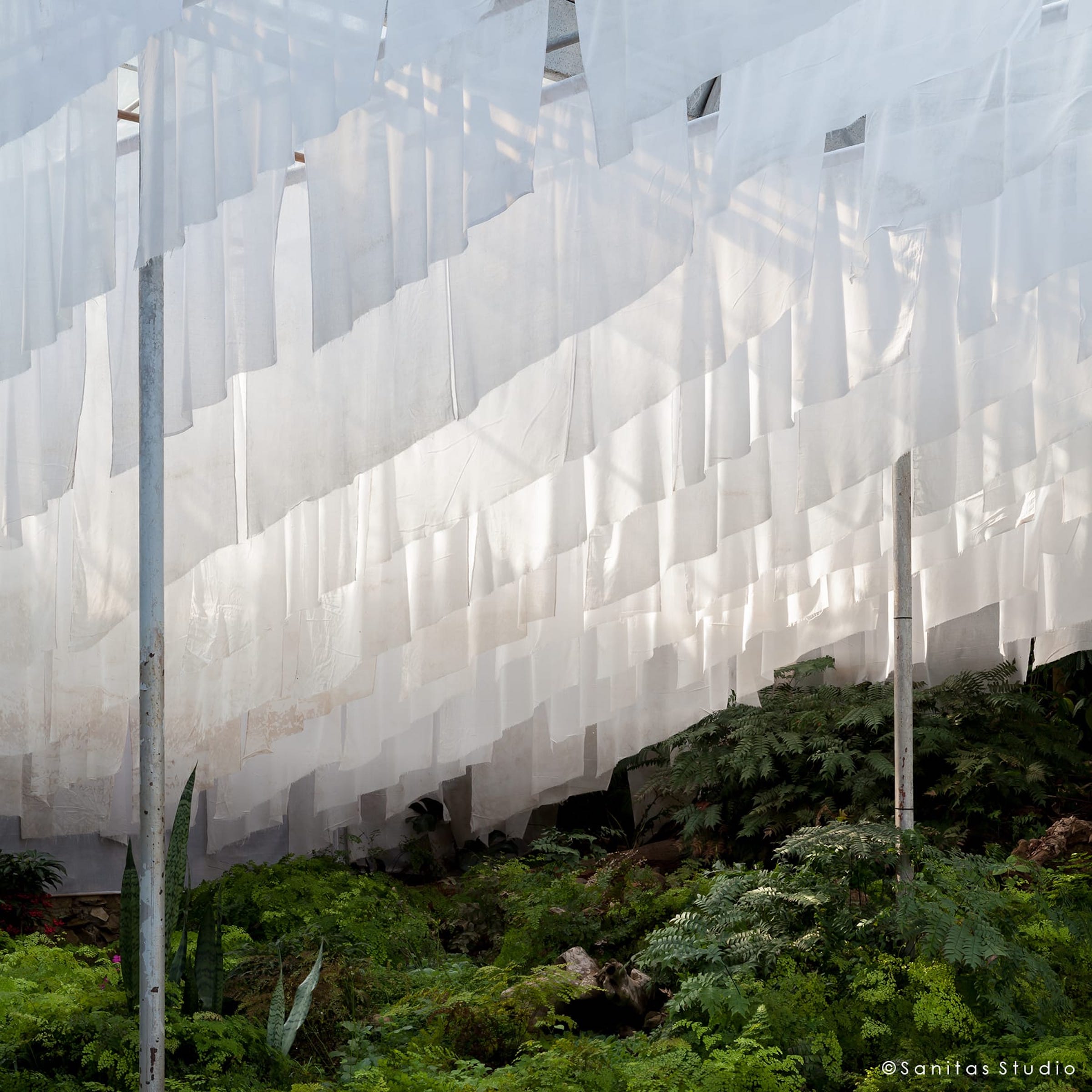 在山中,萨尼塔斯工作室-20