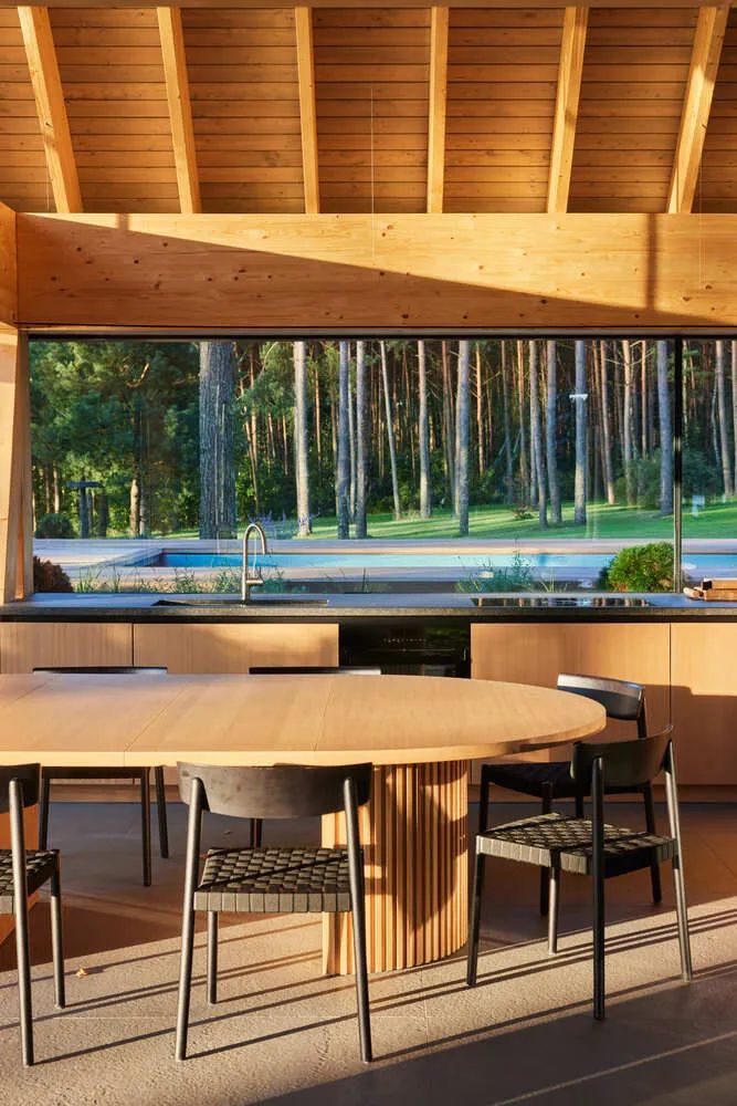 湖边森林中的钢构游泳池房丨立陶宛-33