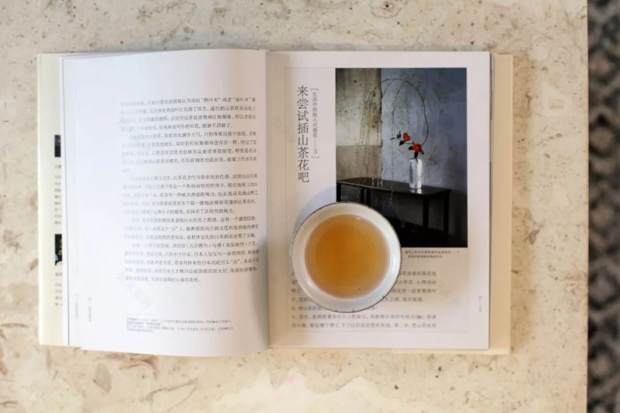 《博园》 | 自由如风,优雅灵动的海之居-42