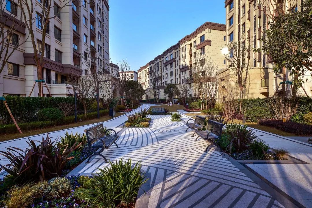 解密网红大区：800 个日夜的精雕细琢 | 龙湖新江与城 · 清晖岸-101