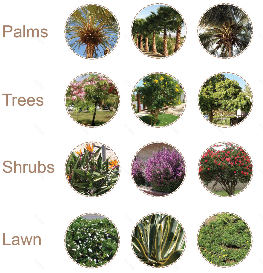 毕业项目·展览丨埃及开罗-53