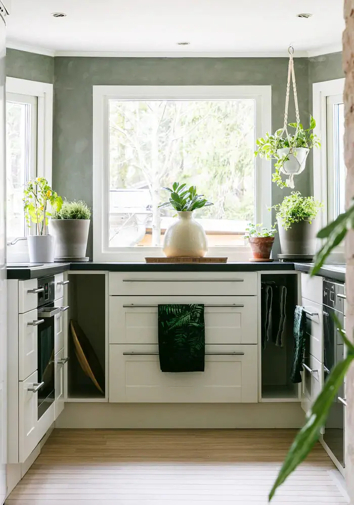 绿意盎然 · 北欧风家居的植物魔法-5