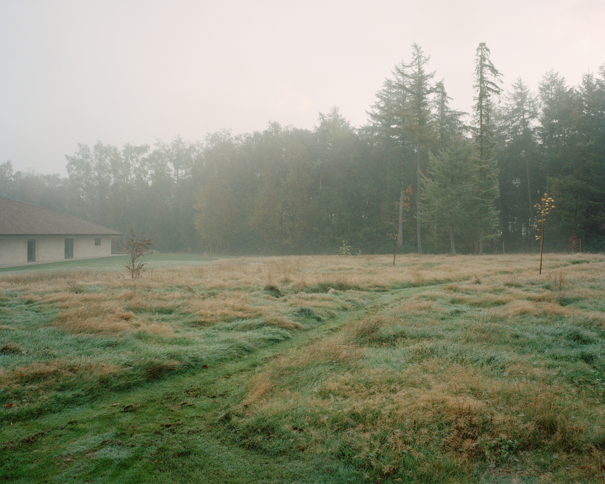 偷听屋丨英国丨Tom Dowdall Architects-38