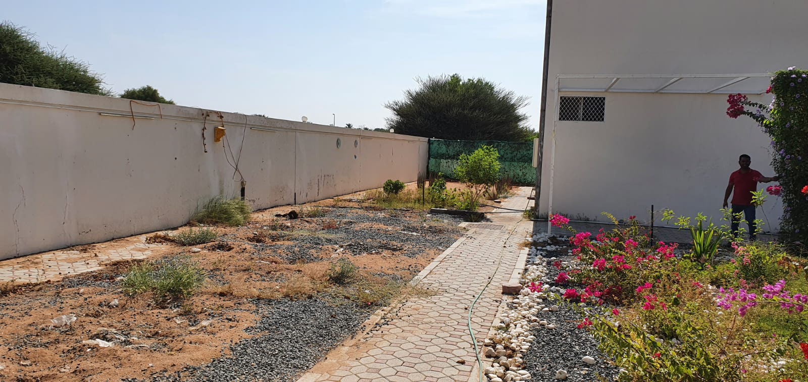 别墅后院花园丨laarte.ae-29