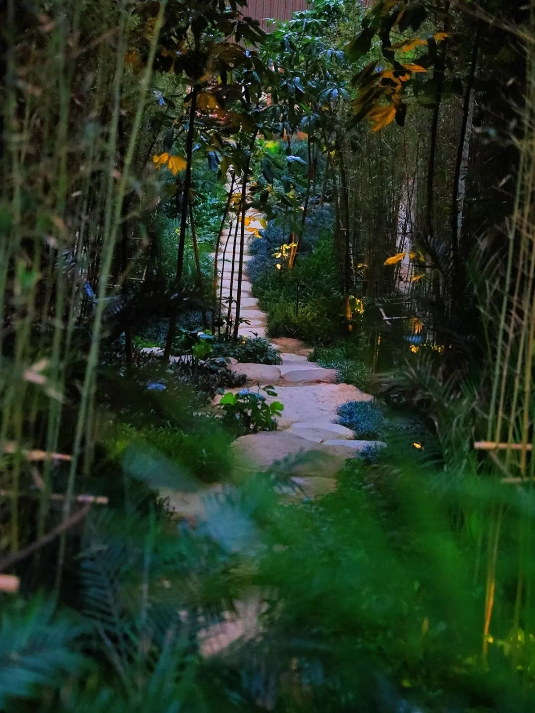 阿丽拉珠海东澳岛酒店丨中国珠海丨HSD水平线设计-225