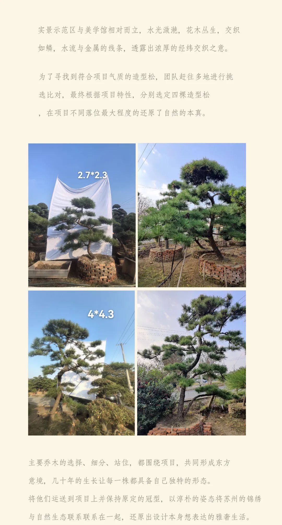 GTS&GTE作品 | 以景织园｜苏州春月锦园-6