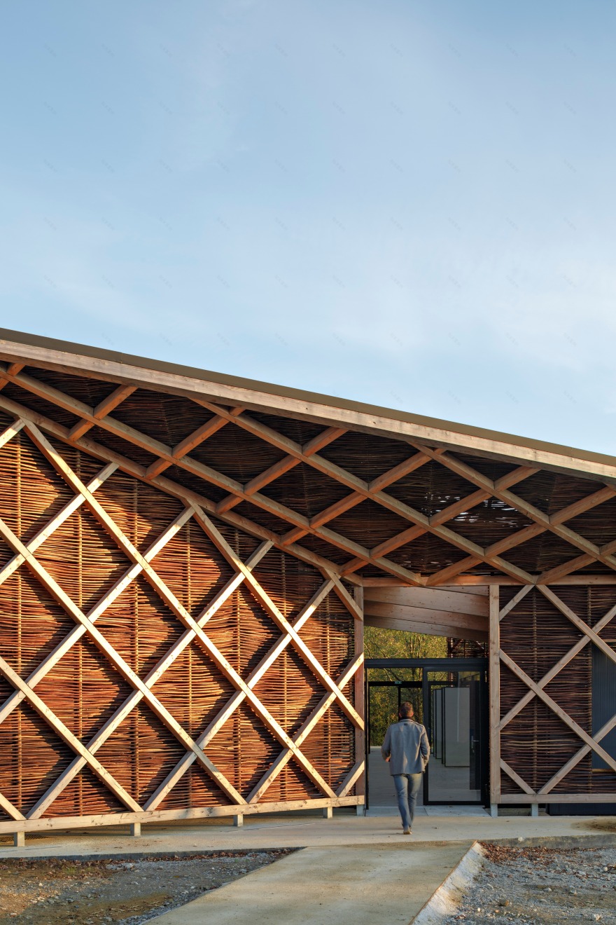 校园绿意 · 蔬菜加工车间与教学结合的设计-43