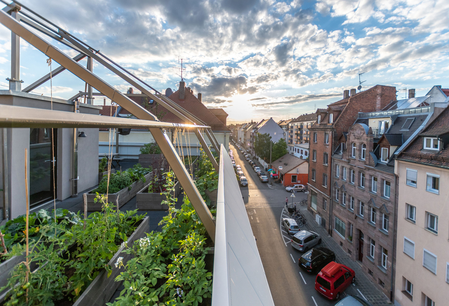 德国 Nürnberg 城市植物房丨büro für bauform-27