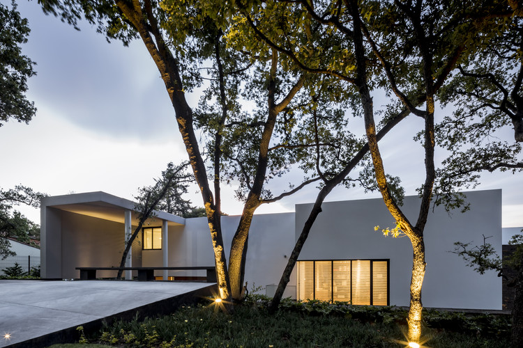 墨西哥森林中的自然之家-33