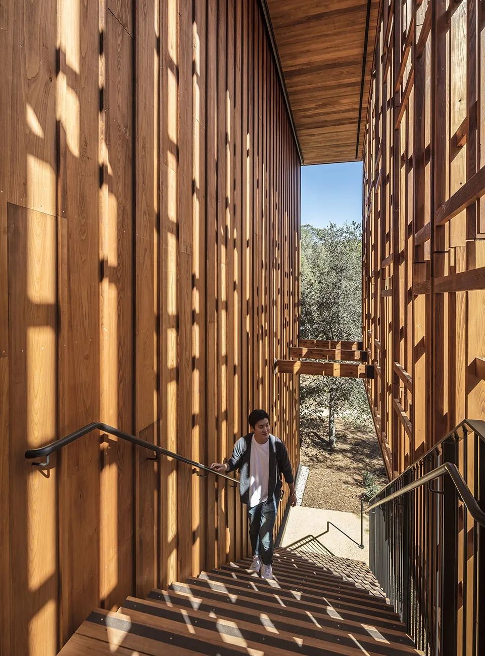 斯坦福大学丹宁楼(Denning House)-20